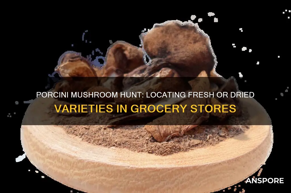 where to find porcini mushrooms in grocery store