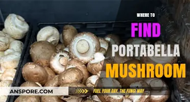 Discover the Best Spots to Find Portabella Mushrooms Easily