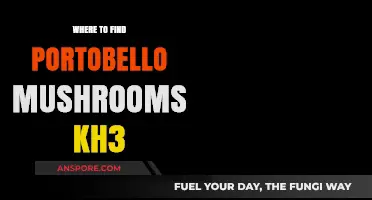 Discovering Portobello Mushrooms in Kingdom Hearts 3: Top Locations