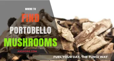 Discovering Portobello Mushrooms: Top Locations and Shopping Tips