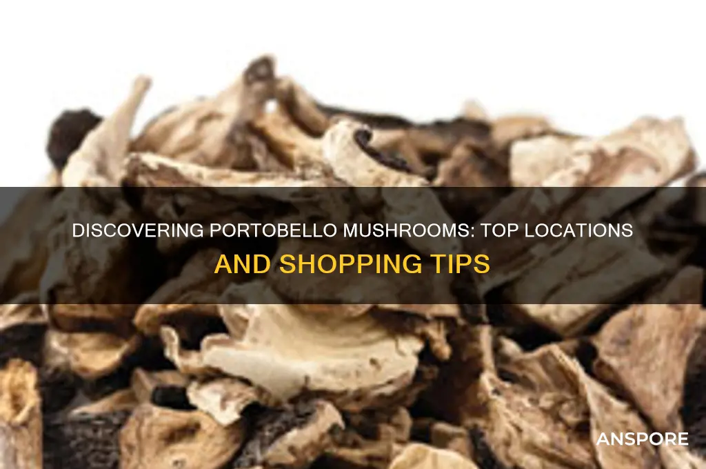 where to find portobello mushrooms