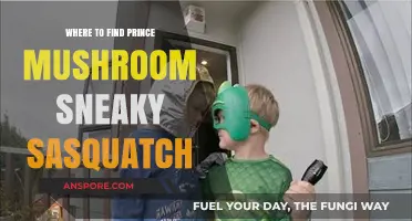 Discover Prince Mushroom Locations in Sneaky Sasquatch: A Guide