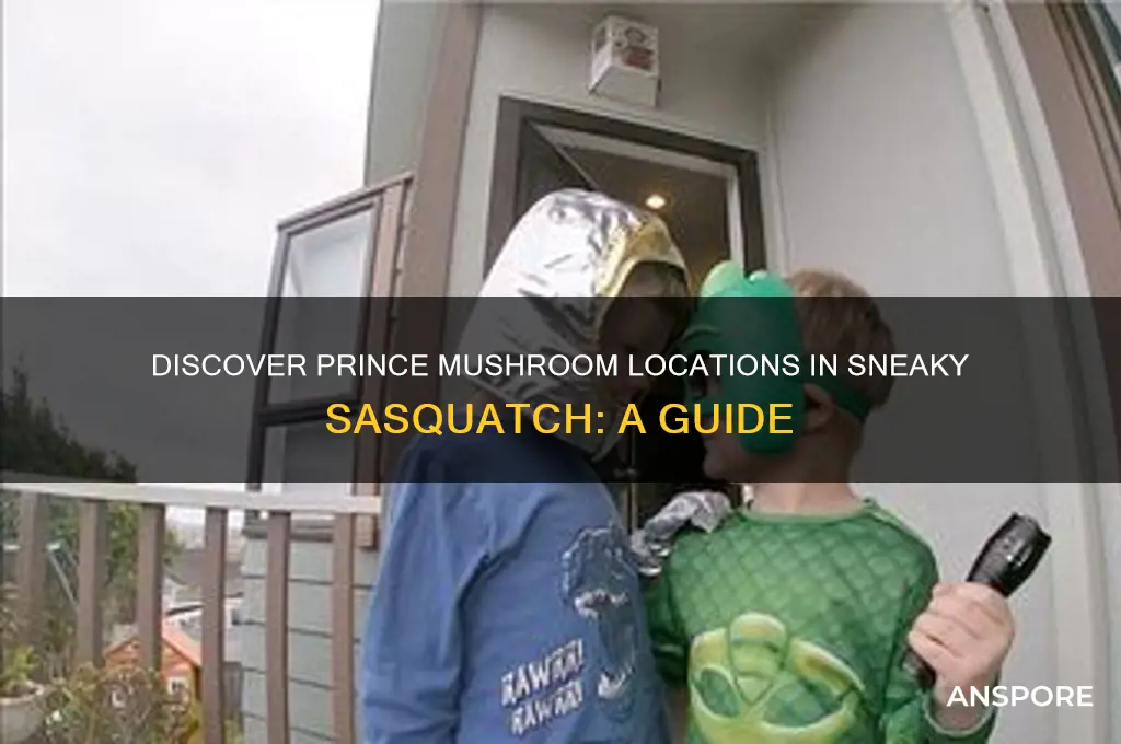 where to find prince mushroom sneaky sasquatch