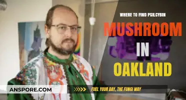 Exploring Oakland: Top Spots for Psilocybin Mushroom Foraging Safely