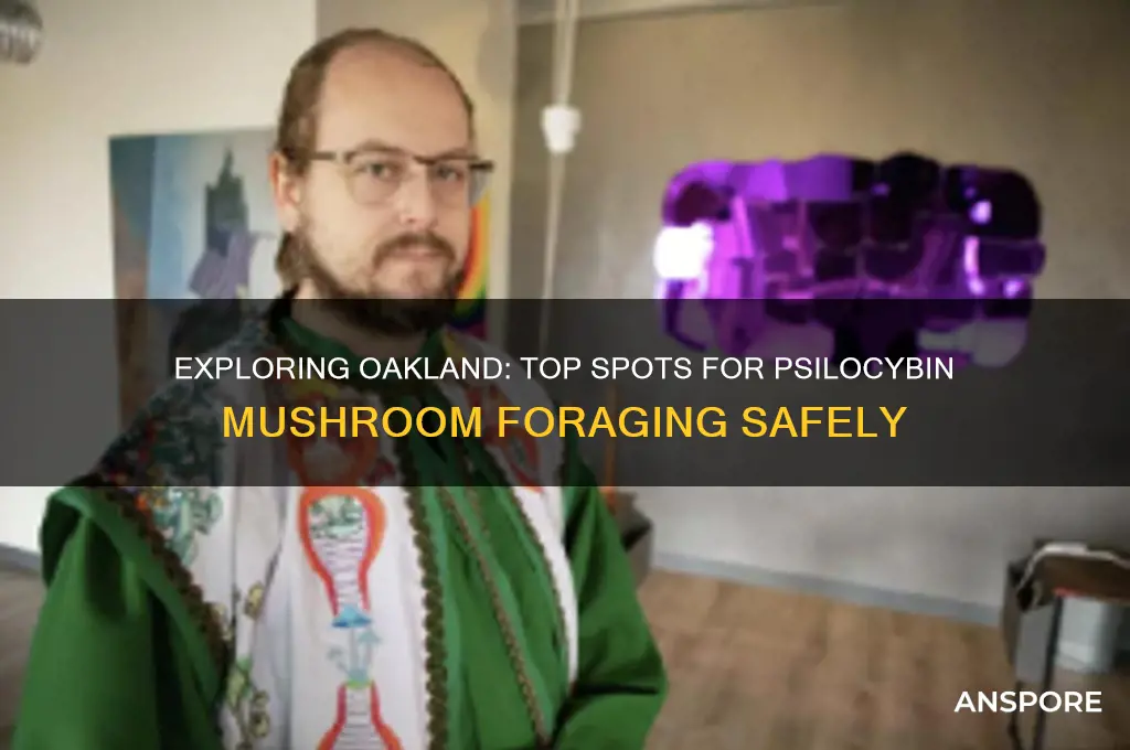 where to find psilcybin mushrooms in oakland