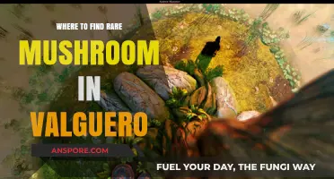 Discover Hidden Valguero Mushrooms: Rare Spawn Locations Guide