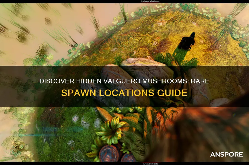 where to find rare mushroom in valguero