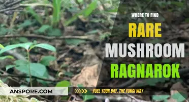 Discover Hidden Spots for Rare Mushrooms in Ragnarok Online