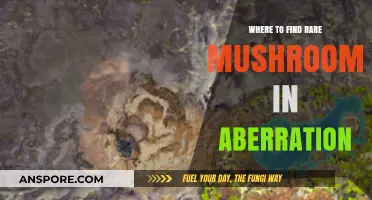 Discovering Aberration's Hidden Gems: Rare Mushroom Locations Unveiled