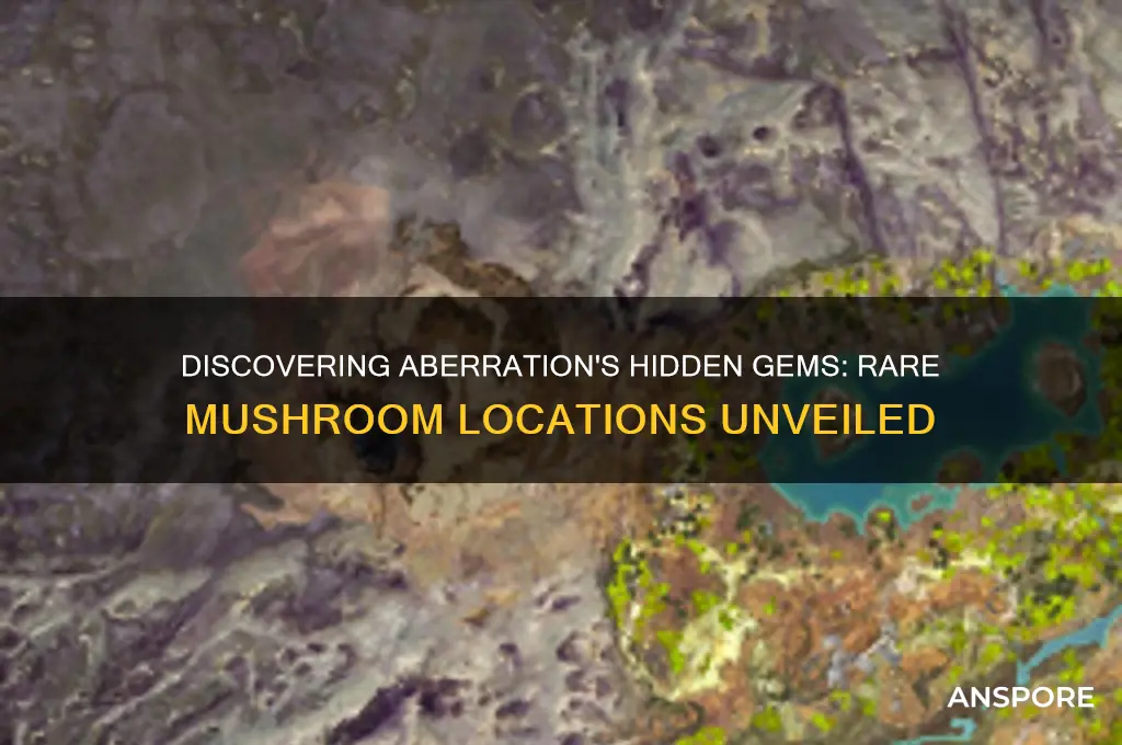 where to find rare mushrooms in aberration