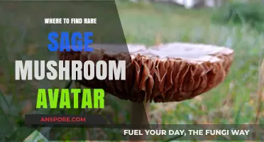 Discover Hidden Sage Mushroom Avatar Locations: Ultimate Guide for Collectors