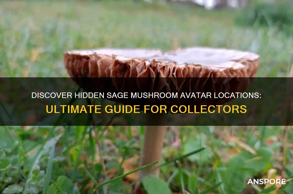 where to find rare sage mushroom avatar