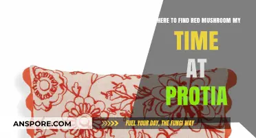 Discover Red Mushroom Locations in My Time at Portia