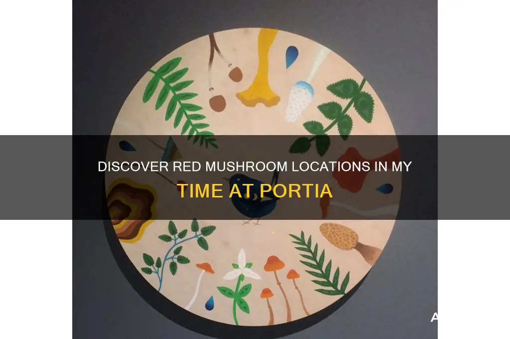where to find red mushroom my time at protia