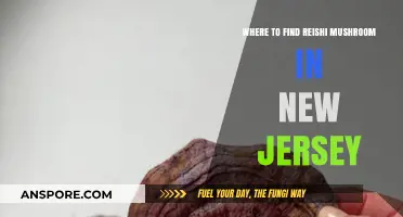 Discover Reishi Mushrooms: Top Spots in New Jersey to Hunt