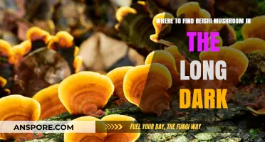 Discovering Reishi Mushrooms in The Long Dark: Survival Guide