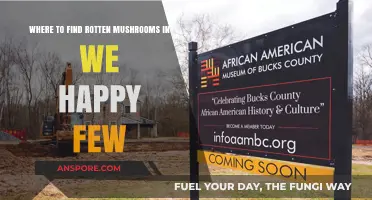 Discover Hidden Rotten Mushrooms in We Happy Few: Locations Guide