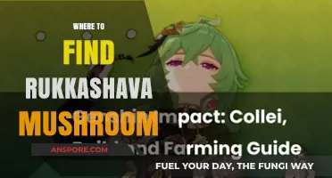 Discover Rukkashava Mushroom: Top Locations for Foraging Success