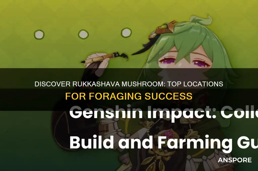 where to find rukkashava mushroom