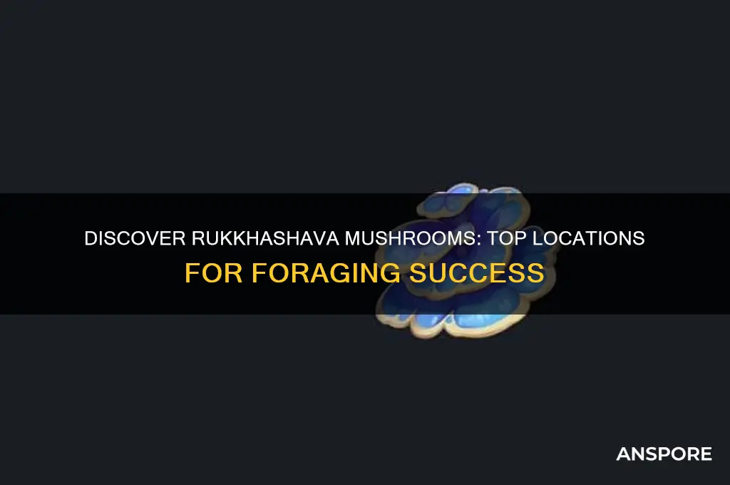 where to find rukkhashava mushrooms