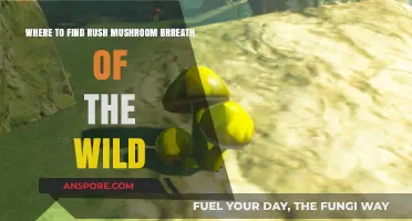 Discover Rushroom Locations in Breath of the Wild: A Guide