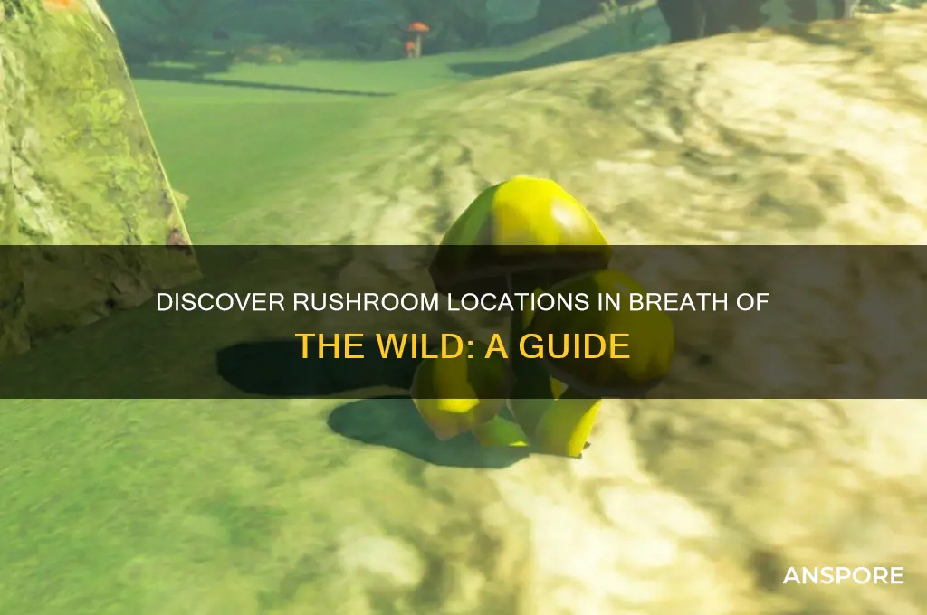 where to find rush mushroom brreath of the wild