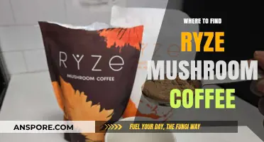 Discover Ryze Mushroom Coffee: Top Locations and Online Sources