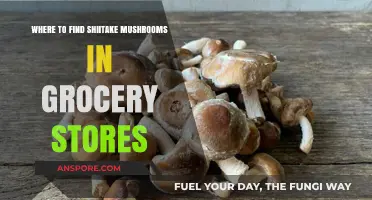 Finding Shiitake Mushrooms: A Guide to Grocery Store Locations