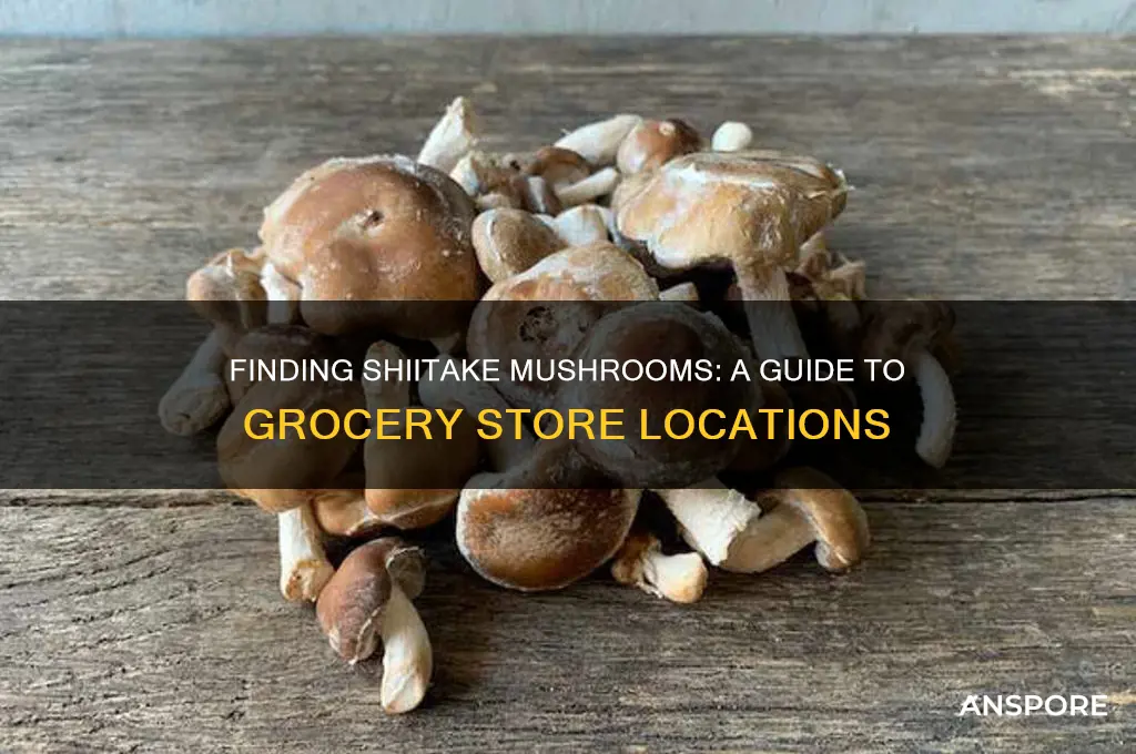 where to find shiitake mushrooms in grocery stores