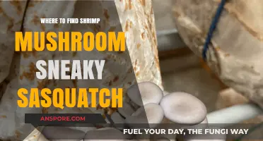 Discover Shrimp Mushroom Locations in Sneaky Sasquatch: A Guide