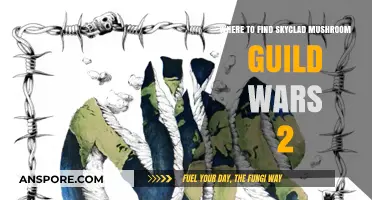 Skyclad Mushroom Locations in Guild Wars 2: A Comprehensive Guide