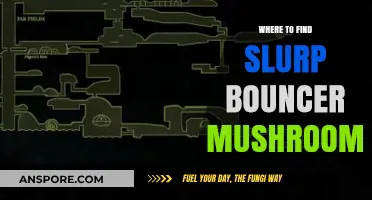 Discover Hidden Slurp Bouncer Mushrooms: Top Locations and Tips
