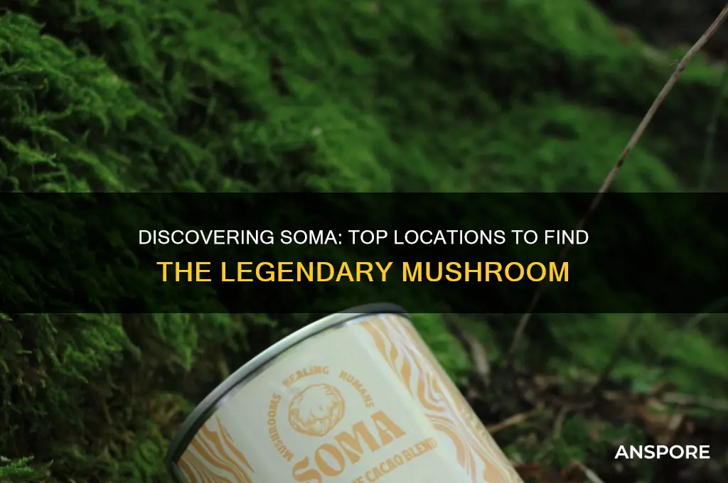 where to find soma mushroom
