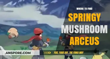 Discover Springy Mushroom Arceus: Top Locations and Hunting Tips