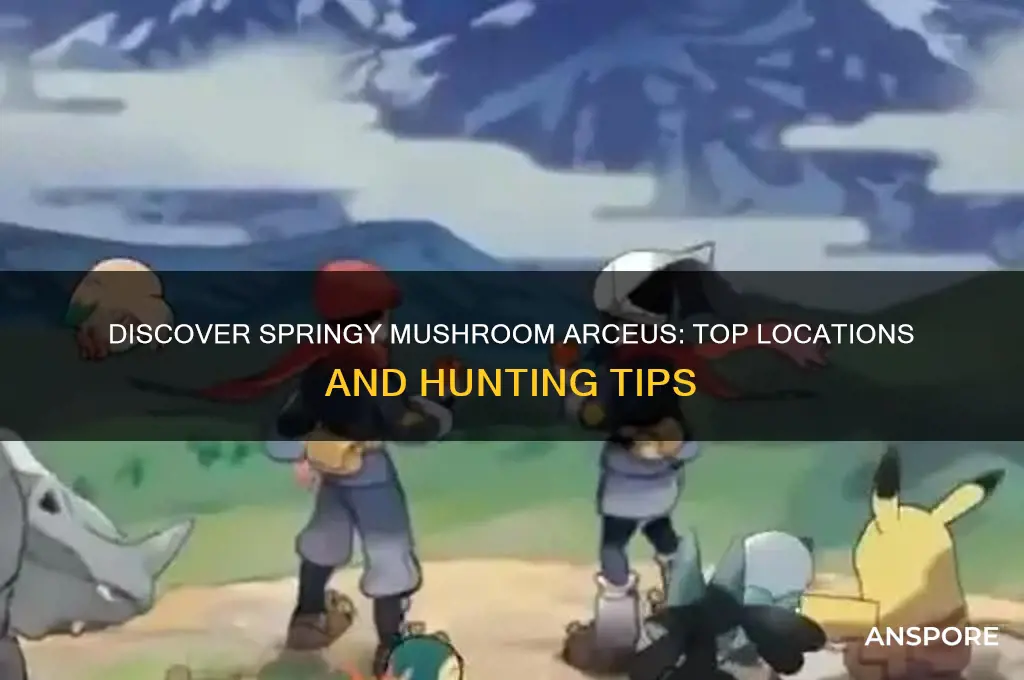 where to find springy mushroom arceus