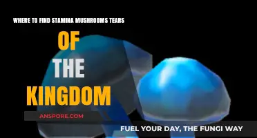 Tears of the Kingdom: Top Stamina Mushroom Locations Revealed