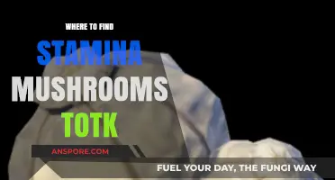 Discover Stamina Mushroom Locations in TotK: Ultimate Guide