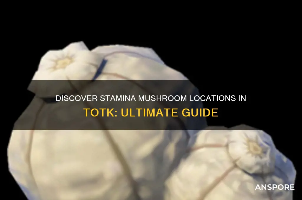 where to find stamina mushrooms totk