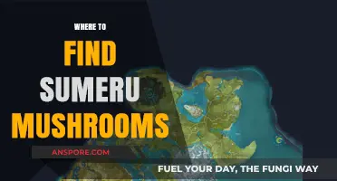 Discovering Sumeru Mushrooms: Top Locations and Foraging Tips