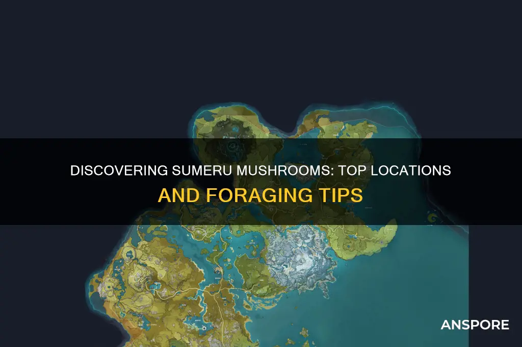 where to find sumeru mushrooms