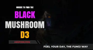 Discovering Black Mushroom Locations in Diablo 3: A Comprehensive Guide