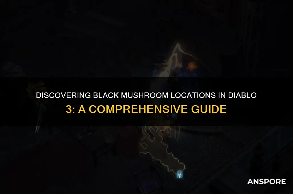 where to find the black mushroom d3
