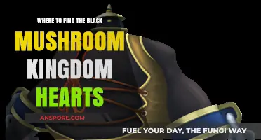 Discovering the Black Mushroom Kingdom Hearts: Hidden Locations Guide