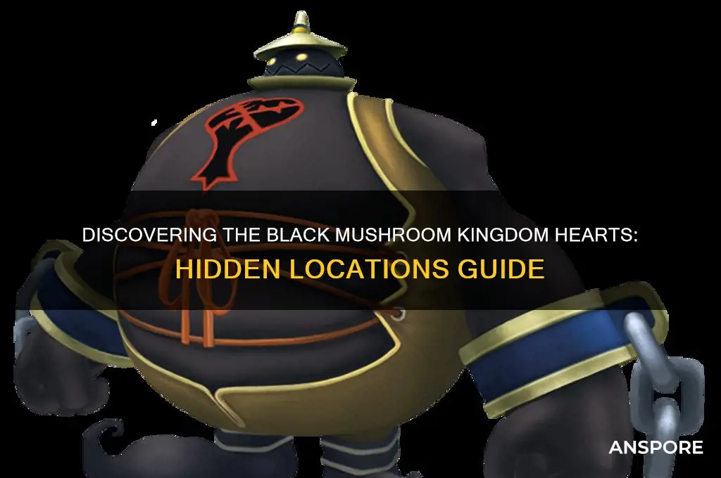 where to find the black mushroom kingdom hearts