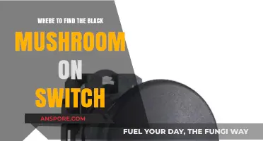 Discover Black Mushroom Locations in Switch Games: A Comprehensive Guide