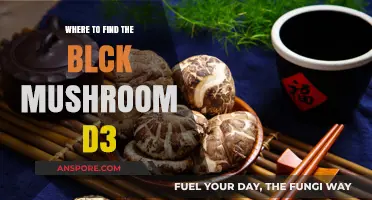 Discovering the Rare Black Mushroom in Diablo 3: Top Locations