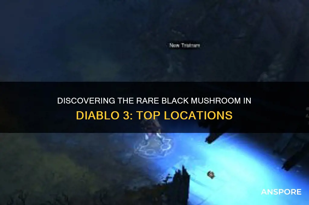where to find the blck mushroom d3