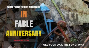 Discovering Blue Mushrooms in Fable Anniversary: Hidden Locations Guide