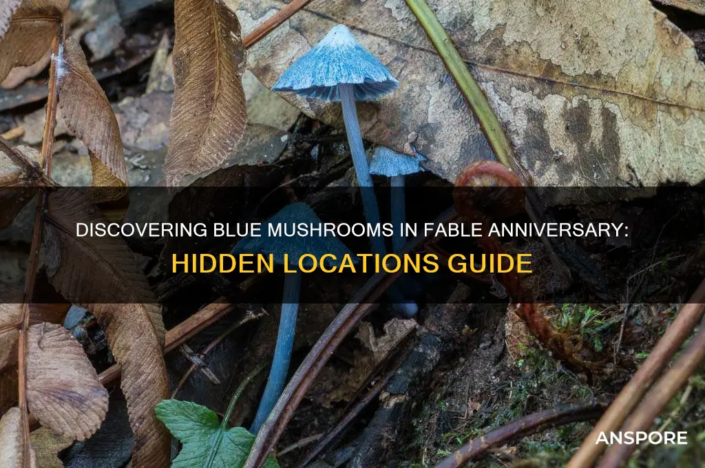 where to find the blue mushrooms in fable anniversary