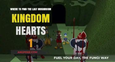 Discover the Hidden Mushroom Kingdom in Kingdom Hearts 1